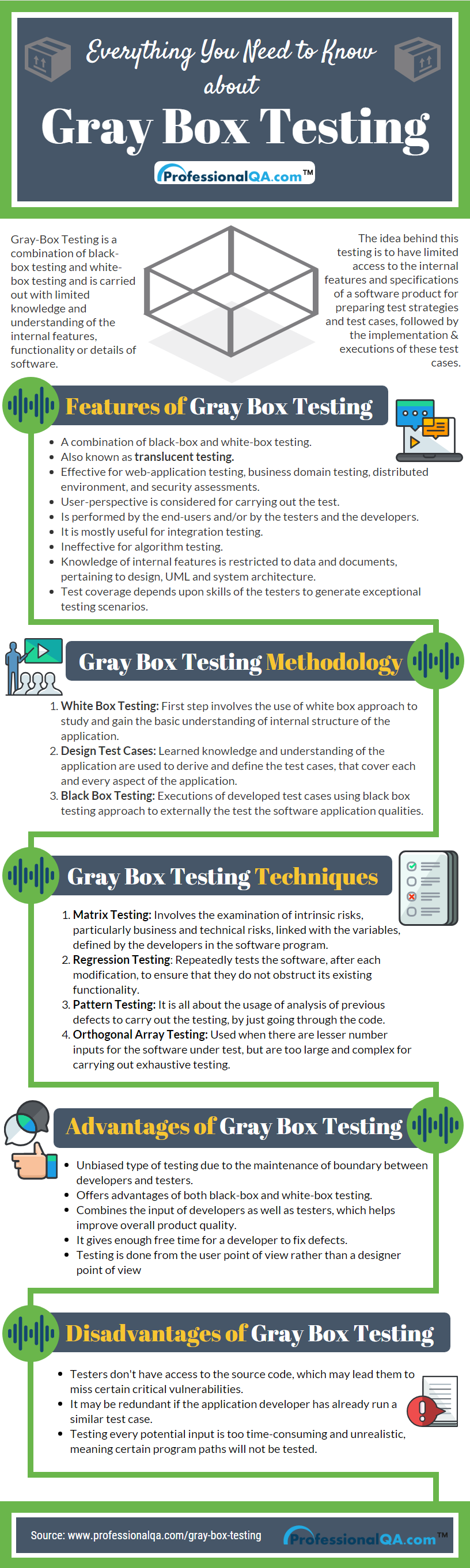 Gray Box Testing Infographics
